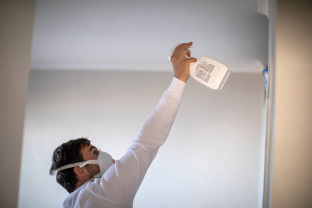 Best Insurance-Related Mold Remediation in Woodlawn Beach, FL