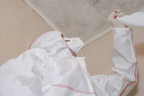 Best Mold Remediation for Specific Building Types in Woodlawn Beach, FL