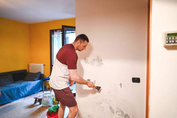 Best Post-Flood Mold Remediation in Woodlawn Beach, FL